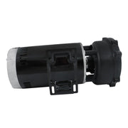 DURAFORCE 4 HP Dual-Speed Swimming Hot Tub & Spa Pump For 3711621-1D 56Y Frame 230 V