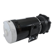 DURAFORCE 4 HP Dual-Speed Swimming Hot Tub & Spa Pump For 3711621-1D 56Y Frame 230 V