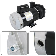 DURAFORCE 4 HP Dual-Speed Swimming Hot Tub & Spa Pump For 3711621-1D 56Y Frame 230 V