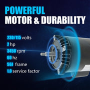 DURAFORCE 56J 2HP Pool Pump Inground UST1202 SP2615X20 Pool Pump Motor Swimming Pool Pump