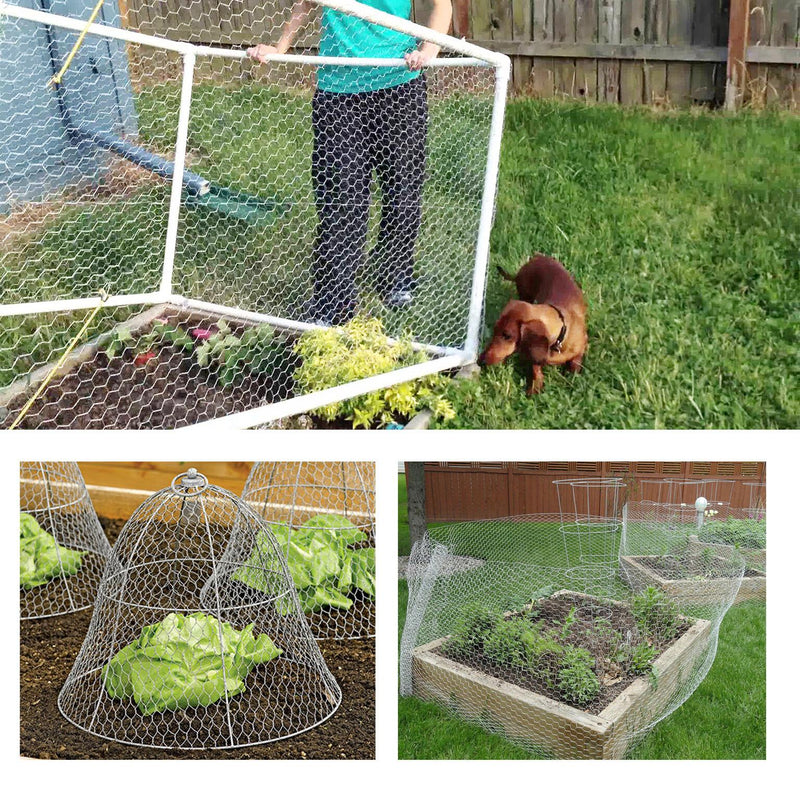 DURAFORCE 72" × 150' 2" Holes Galvanized Poultry Net - Metal Fencing / Chicken Wire