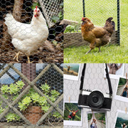 DURAFORCE 72" × 150' 2" Holes Galvanized Poultry Net - Metal Fencing / Chicken Wire