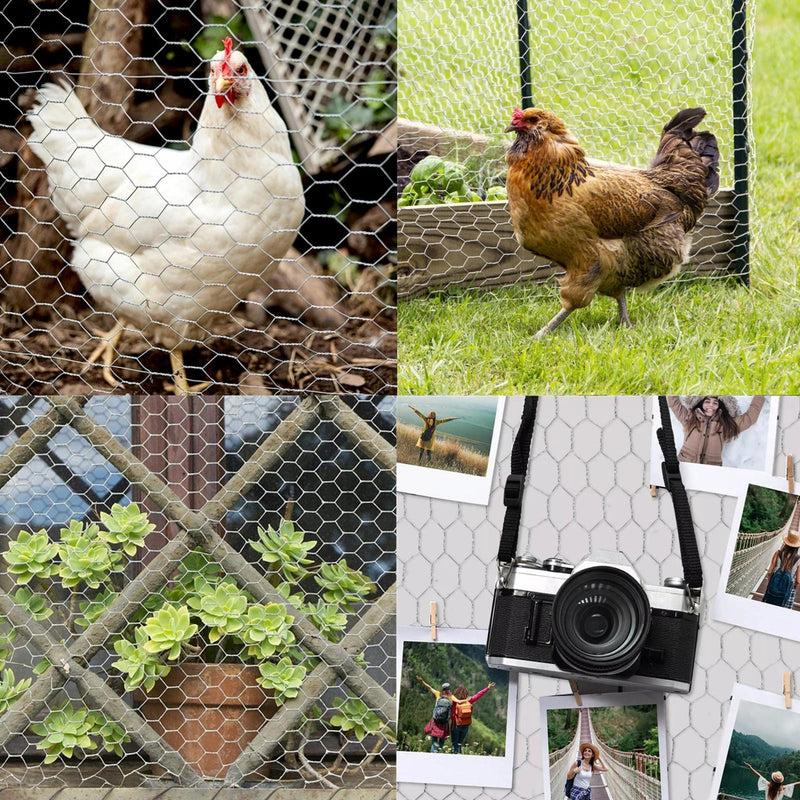 DURAFORCE 72" × 150' 2" Holes Galvanized Poultry Net - Metal Fencing / Chicken Wire