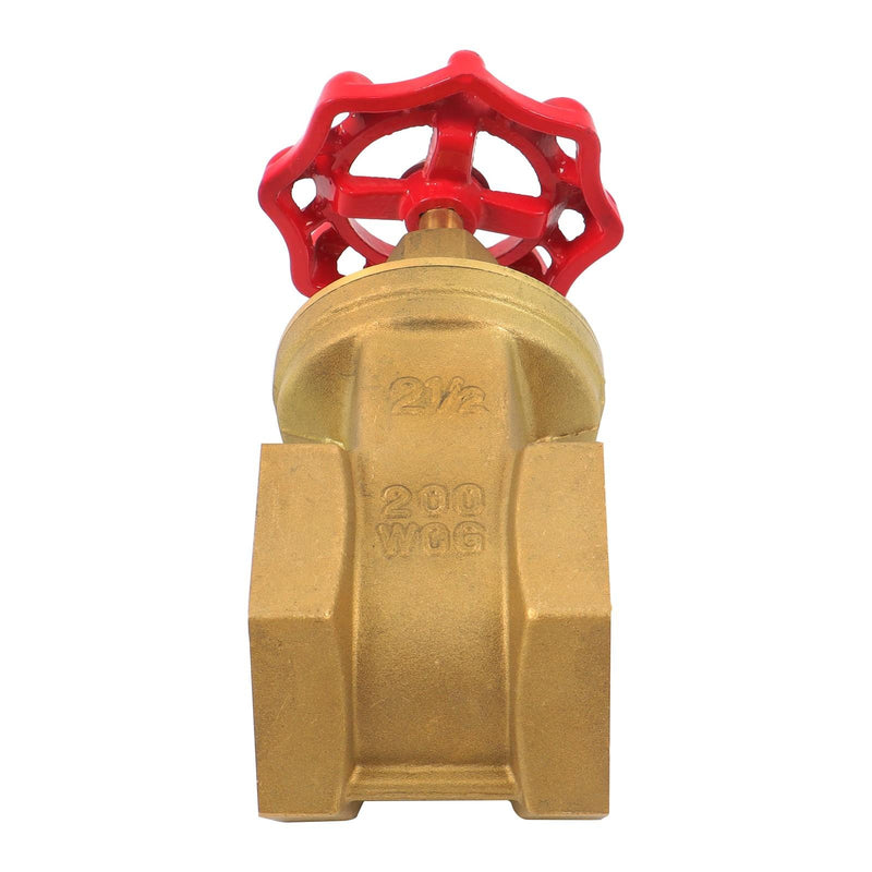 DURAFORCE Corrosion Resistant Brass Gate Valve DN65 2.5" Female NPT for Plumbing Systems