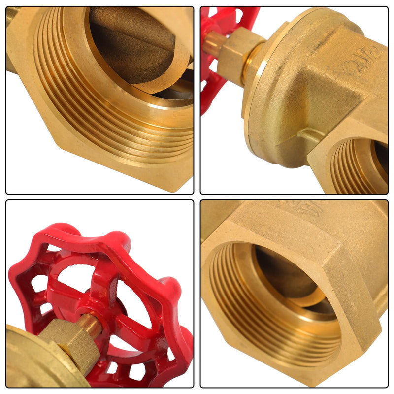 DURAFORCE Corrosion Resistant Brass Gate Valve DN65 2.5" Female NPT for Plumbing Systems