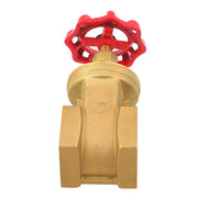 DURAFORCE Corrosion Resistant Brass Gate Valve DN65 2.5" Female NPT for Plumbing Systems
