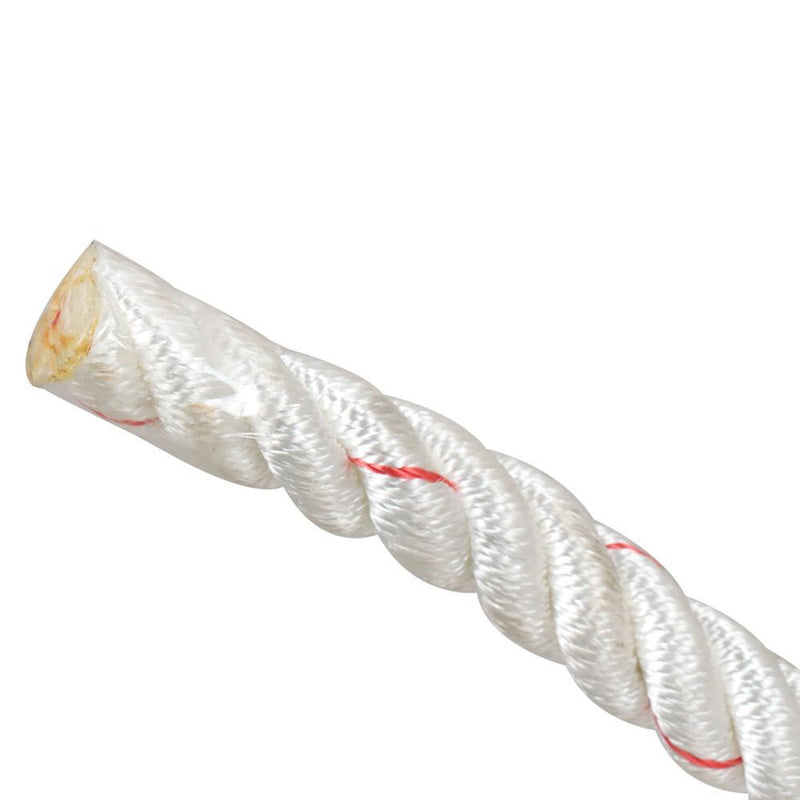 DURAFORCE 2038Lbs Arborist Tree Rope Bull Rope Braided Polyester Rope 3/4" × 100'