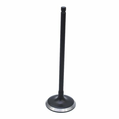 DURAFORCE Intake Exhaust Valves For 00-10 Acura Honda Saturn 3.2L 3.5L SOHC 24v J32A1