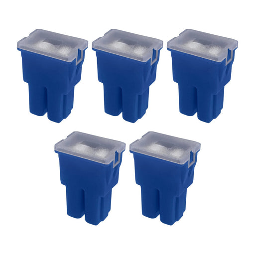 DURAFORCE 100A Straight Female Fuse Cartridge FLF PAL Auto Link for Car Truck RV SUV 5pk