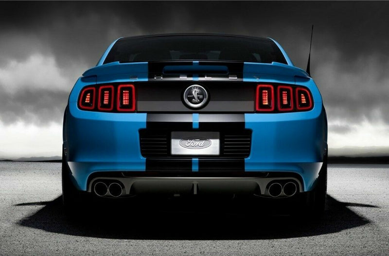 DURAFORCE 10 Inch Black Carbon Fiber Vinyl Rally Stripes Racing Stripe for Ford Mustang Cobra