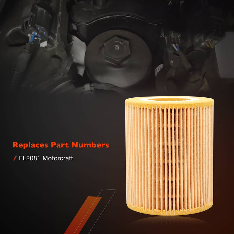 FD4627 Diesel Fuel Oil Filter Kit for Ford F150 3.0L Engines 2018 2021 FL2081