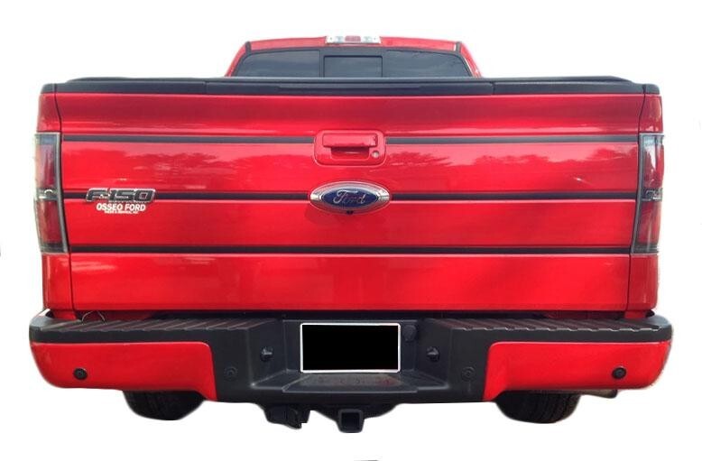 Tailgate Trim Stripe Kit for Ford F150 2009 2010 2011 2012 2013 2014 Many Color Choices