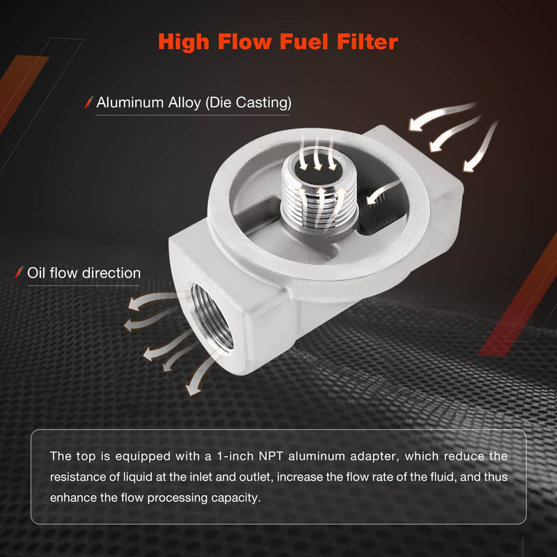 Fuel Transfer Tank Pump Kit 1 NPT with 30 Micron Spin on Filter Element