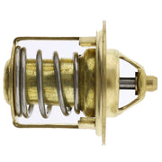 DURAFORCE Thermostat Water Ø38 CT491TV CT344 for Carrier Transicold Maxima 1300 Maxima1200