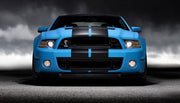 DURAFORCE 9 Inch Vinyl Rally Stripes Racing Stripe Kit Hood Trunk Roof For Ford Mustang