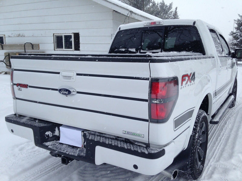 Tailgate Trim Stripe Kit for Ford F150 2009 2010 2011 2012 2013 2014 Many Color Choices