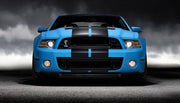 DURAFORCE 11 Inch Black Carbon Fiber Vinyl Rally Racing Stripes for Ford Mustang Cobra