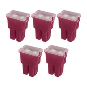 DURAFORCE 30A Straight Female Fuse Cartridge FLF PAL Auto Link for Car Truck RV SUV 5pk
