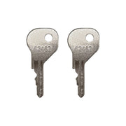 DURAFORCE Keys for Yard Garden Pool Gate Safety D and D MagnaLatch LokkLatch 62462 2 Pack