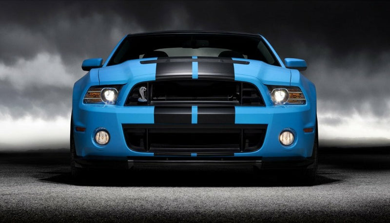DURAFORCE 10 Inch Black Carbon Fiber Vinyl Rally Stripes Racing Stripe for Ford Mustang Cobra