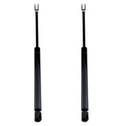DURAFORCE 2X Gas Cylinder 6664207 for Bobcat 730 731 732 741 742 743 843 853 863 873 953