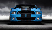 DURAFORCE Vinyl Rally Stripes Racing Stripe Kit for Ford Mustang 2 Pieces 10x70 Inch