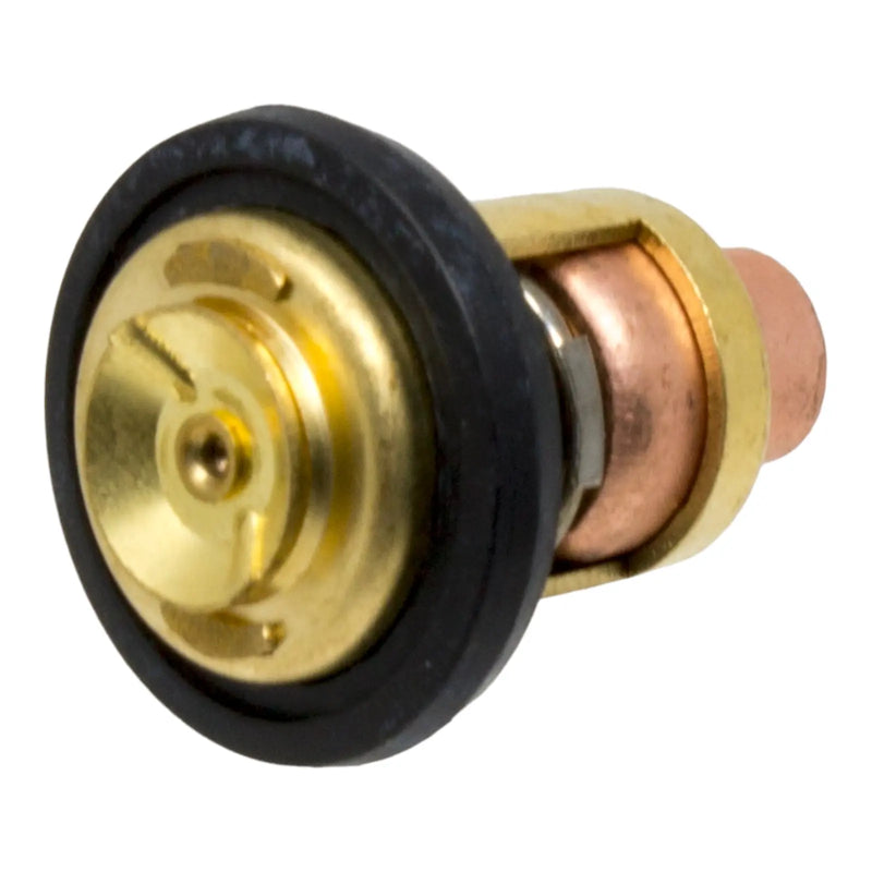 DURAFORCE 5005440, Thermostat