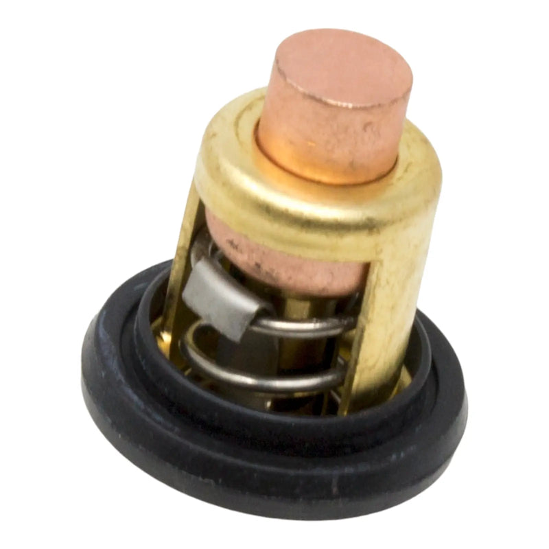 DURAFORCE 5005440, Thermostat