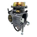 DURAFORCE 1253436, Carburetor