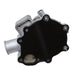 DURAFORCE SBA145016901, Water Pump For Ford