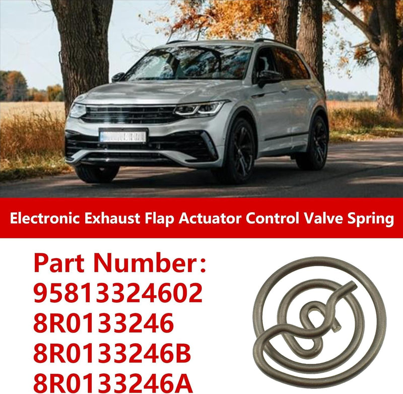 Servomotor Exhaust Actuator Linkage Flap Valve Spring for Porsche Macan