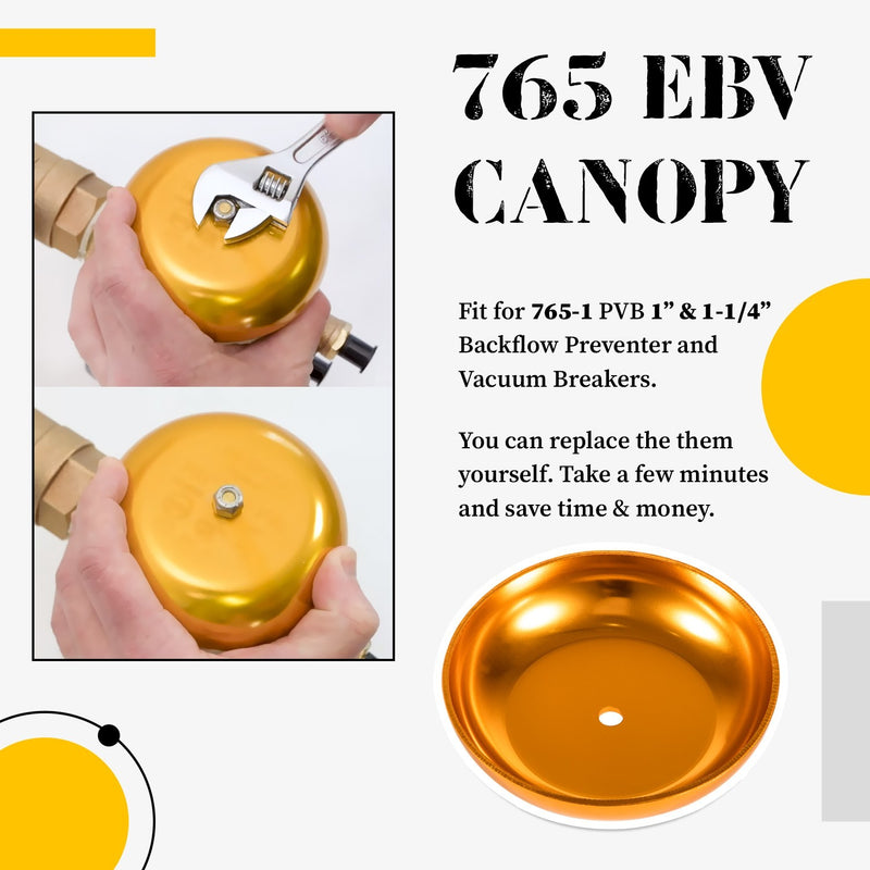 905-212 Bonnet Poppet Repair Kit & 905-052 765 EBV Canopy Kit for 1" 1-1/4