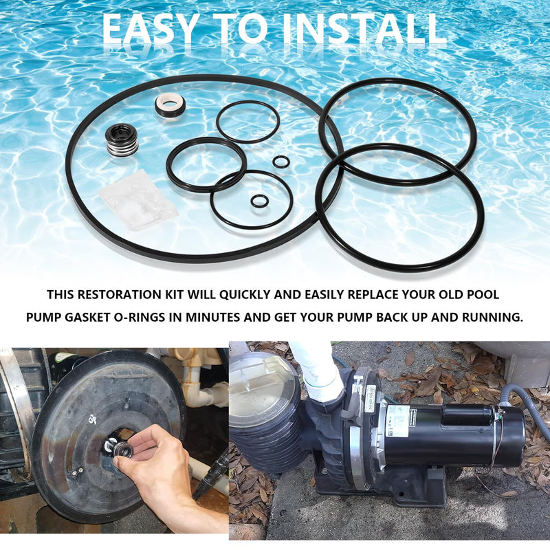 Complete Pump O-Ring Rebuild Repair Kit for Pentair Challenger Pool Pump Models