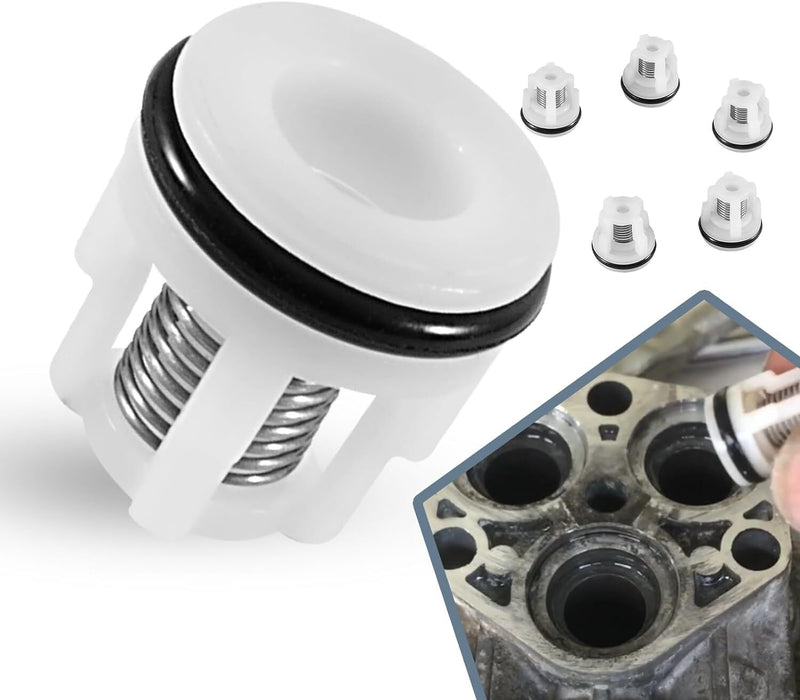 AR2233 Check Valve Kit for Annovi Reverberi RMV RMW Pressure Washer Pumps