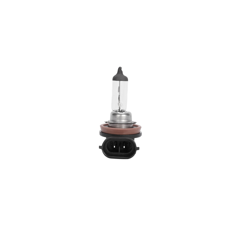 Fog Light Lamp With Bulb for Ford Transit 2020-2026 Right Passenger Side