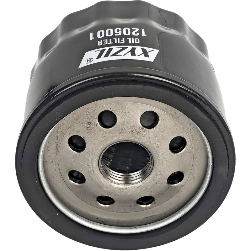 DURAFORCE AM125424 Oil Filter for John Deere LT155 LT160 LT166 LT170 LTR155 LTR166 LX172