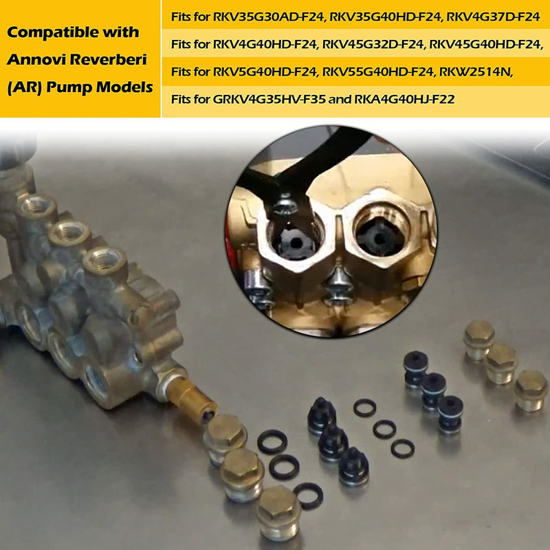 AR1828 Pump Check Valves Kit for Annovi Reverberi 18mm XR RKA RKV