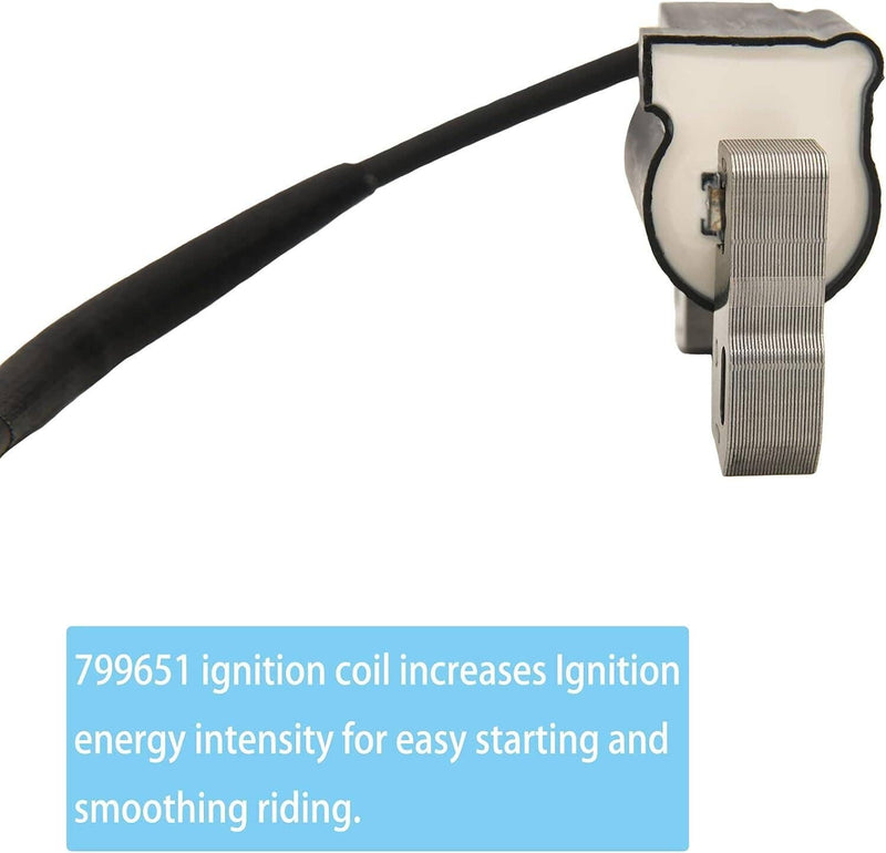 2Pcs Ignition Coil Fits for Briggs & Stratton 446777 446877 543477 592846 691060