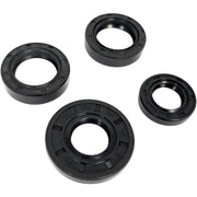 DURAFORCE GW-1123 Transmission Seal Gasket Kit for Troy Bilt Horse I III And OPC Tiller