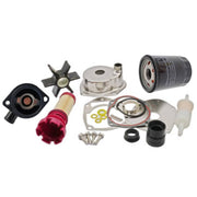 DURAFORCE 8M0097859 892864T04 Thermostat Maintenance Kit for Mercury Verado FourStroke