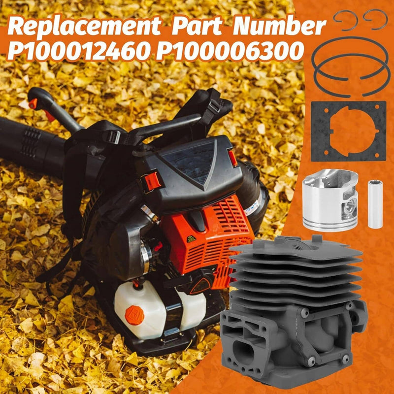 Cylinder Kit P100012460 for Echo PB-8010 PB-9010 PB-7910 P100006 P100006300