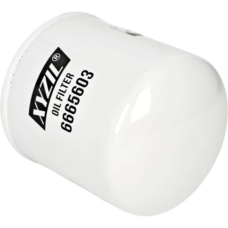 6665603 Oil Filter for Massey Ferguson 1E35 1E40 1M35 1M40 2850E 2850M