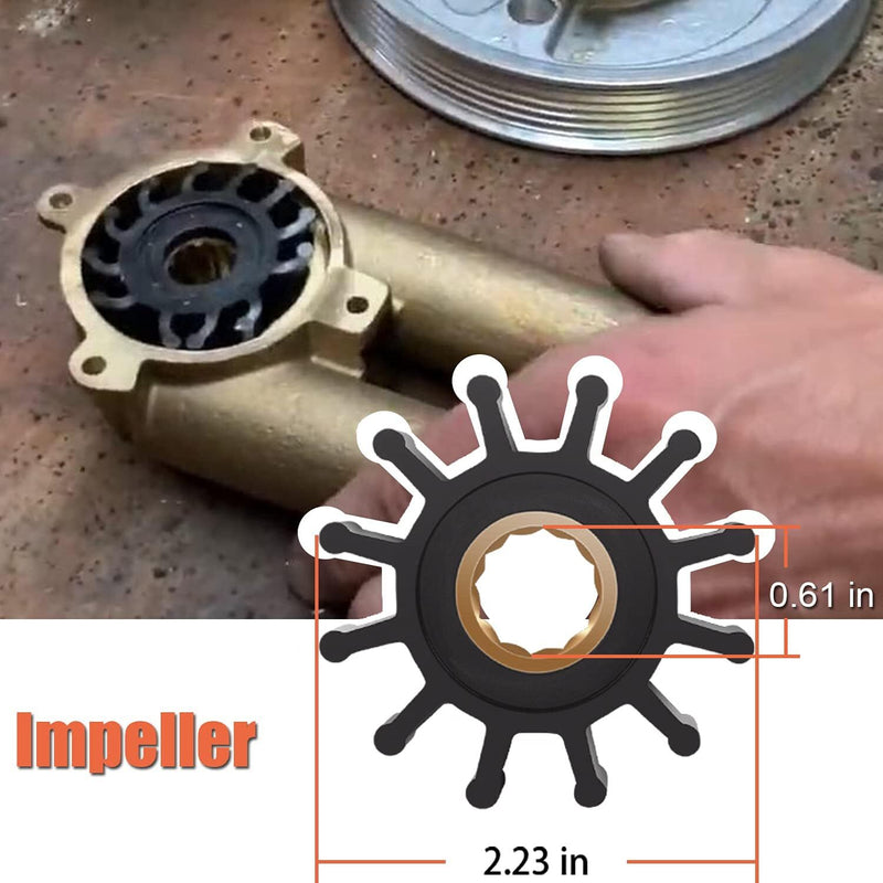 Raw Sea Water Pump Repair Rebuild Kit for Volvo Penta 5.0Gi 5.0GL 5.0GXi 5.0OSi