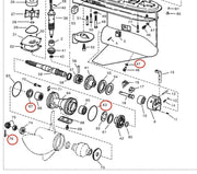 DURAFORCE 341281 305123 Lower Gearcase Seal O-Ring for Evinrude Johnson V4 V6 1979-2006