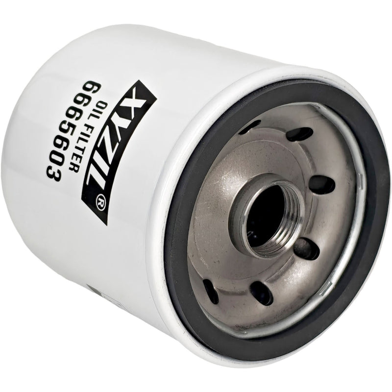 6665603 Oil Filter for Massey Ferguson 1E35 1E40 1M35 1M40 2850E 2850M