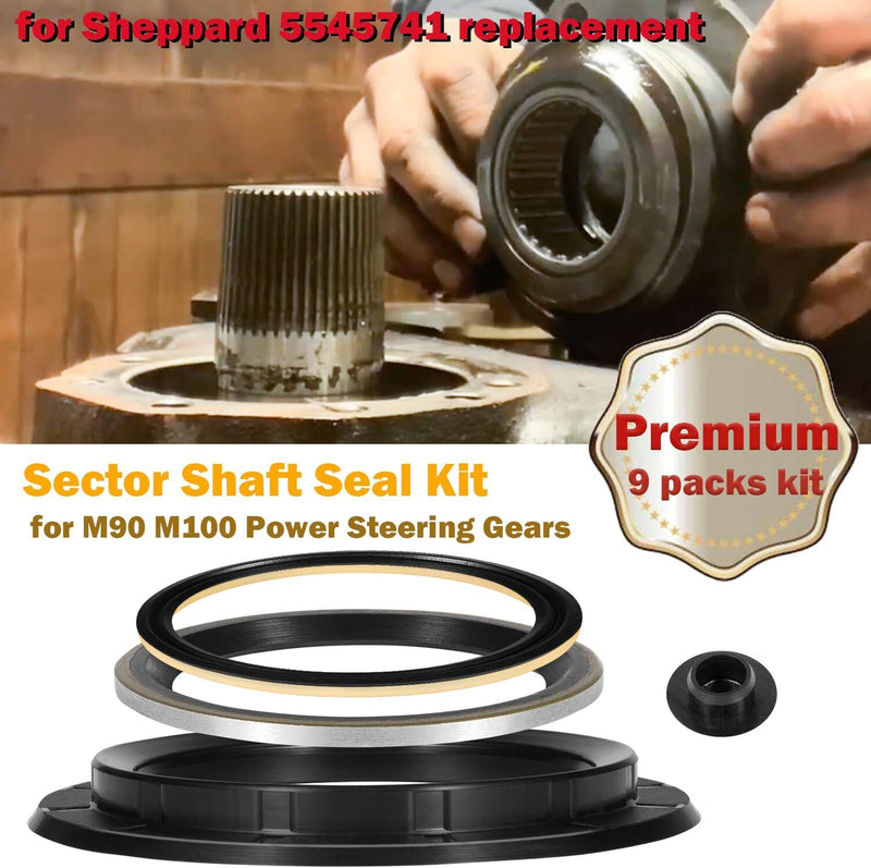 5545741 Sector Shaft Seals Repair Kit for Sheppard M90 M100 Power Steering Gears