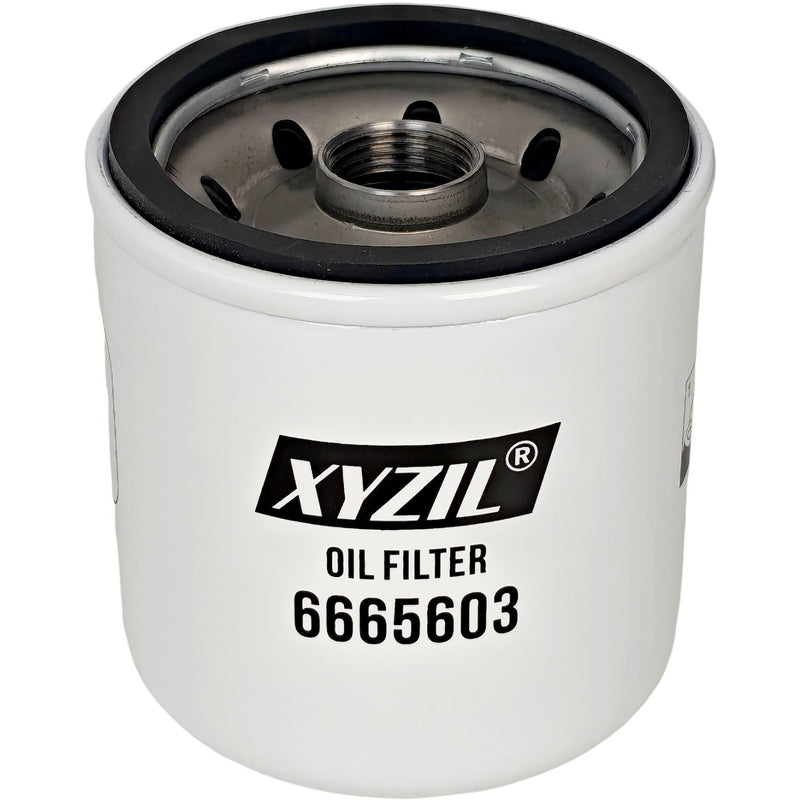 6665603 Oil Filter for Massey Ferguson 1E35 1E40 1M35 1M40 2850E 2850M