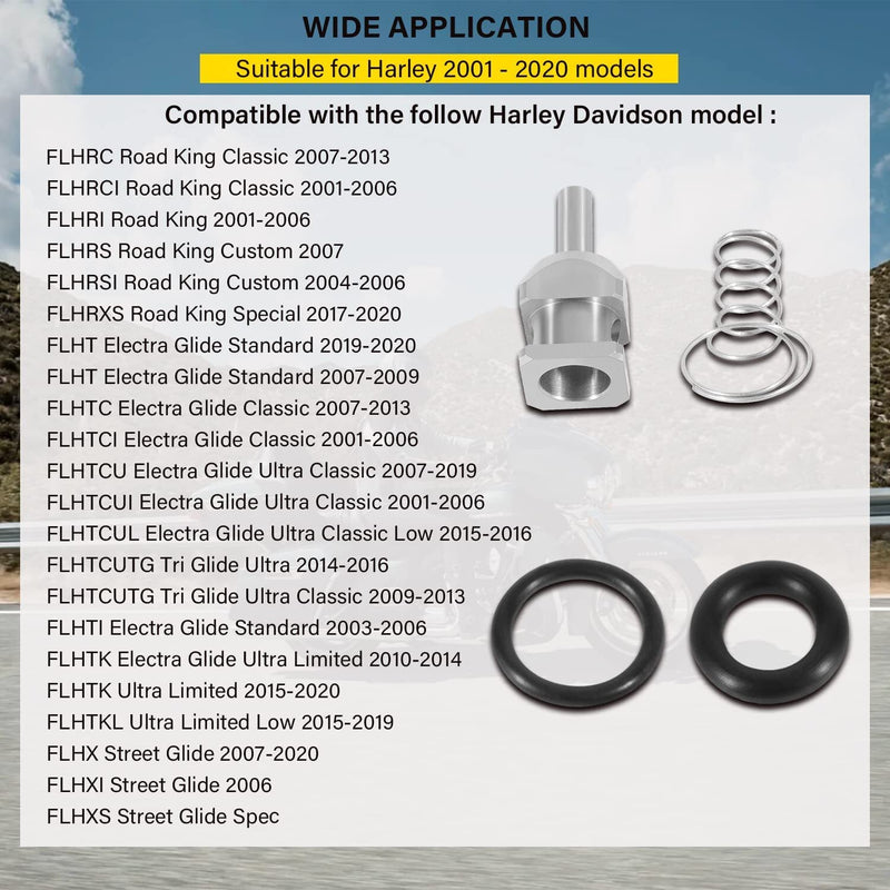 EFI Check Valve Rebuild Kit for Harley Davidson O-Rings Spring