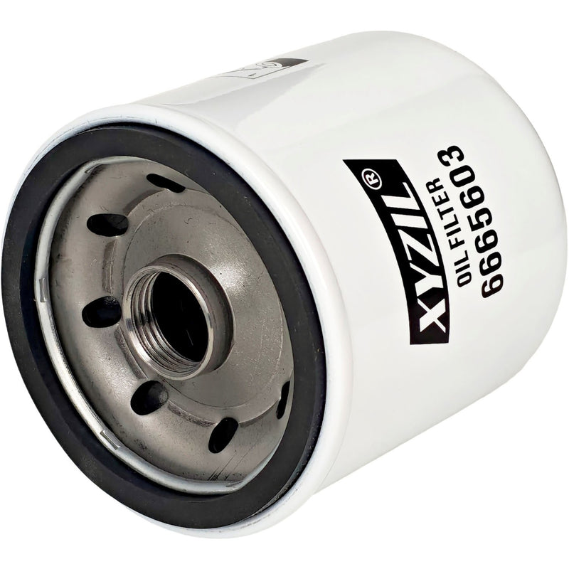6665603 Oil Filter for Massey Ferguson 1E35 1E40 1M35 1M40 2850E 2850M