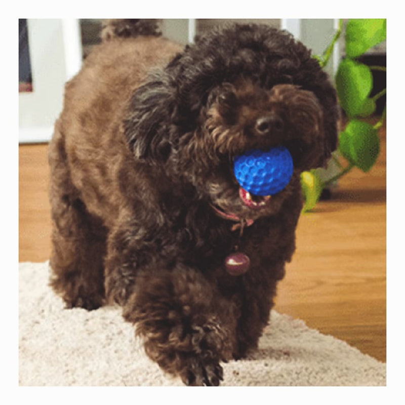 Squeaky Dog Toys for Aggressive Chewers Indestructible Balls Blue